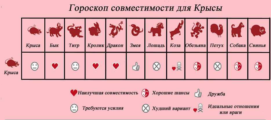 Значение имени константин: что означает, происхождение, характеристика и тайна имени