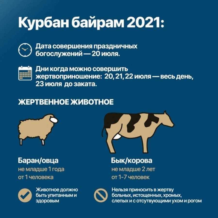 Курбан это. Курбан байрам. Курбан-байрам 2021. Курбан байрам жертвоприношение. Курбан байрам когда.