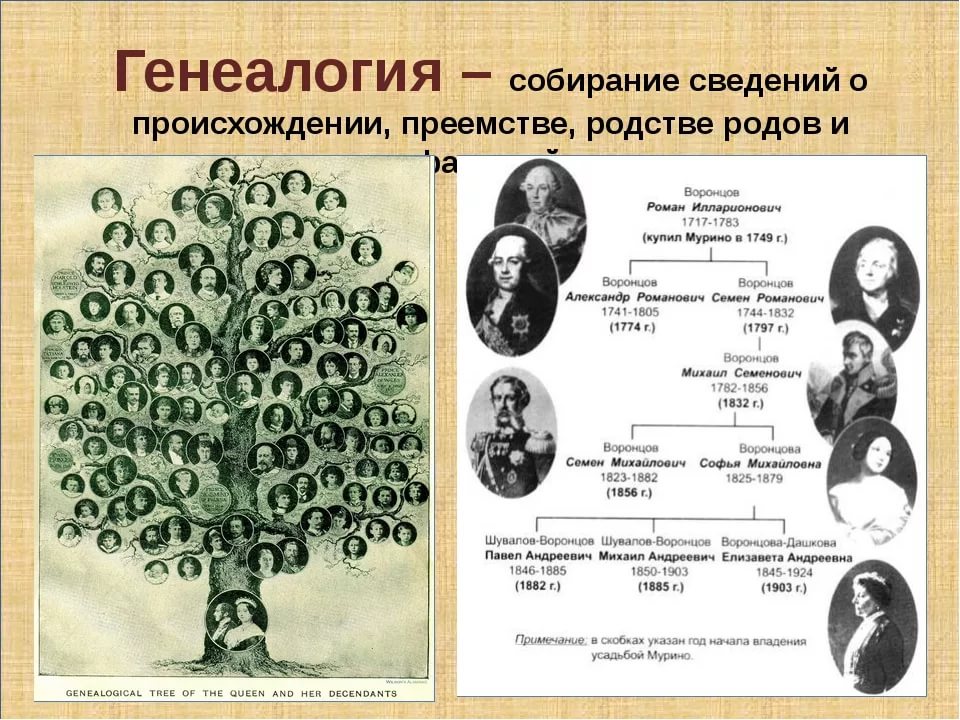 Зачем человеку знать свою родословную. Генеалогия. Рассказ о родословной. Родословная генеалогия. Генеалогическое дерево история.