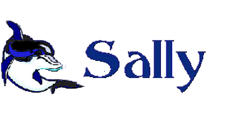Имя салли. Sally name. Значение имени Салли. Имя Салли на английском. Тайна имени Салли