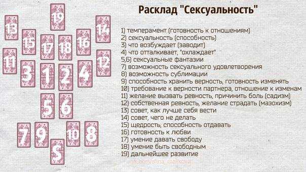 Фамилия мамонт: история и происхождение, значение и правильное склонение - подробный обзор