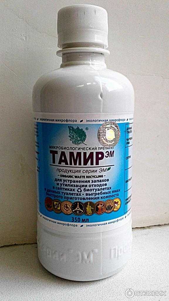 Тамир: значение имени, характер и судьба